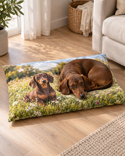 Foto-Hundekissen mit Dackel im Wohnzimmer