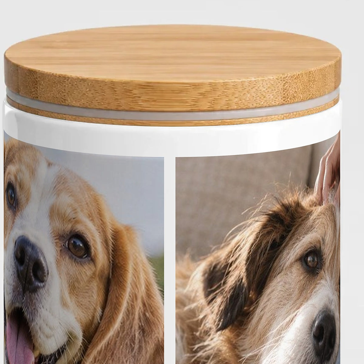 Foto-Leckerli-Glas – Bambusdeckel mit Dichtungsring und zwei der drei Hundefotos aus der Nähe