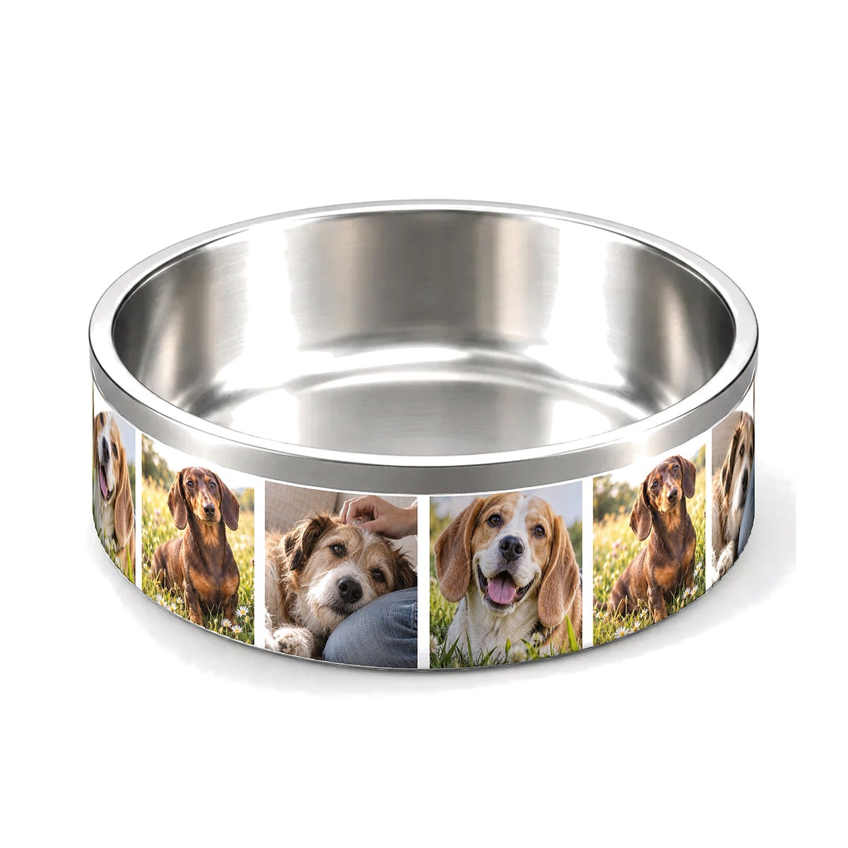 Foto-Napf 18,5 × 7,5 cm aus Edelstahl, Außenseite rundum mit drei Hundefotos im Wechsel bedruckt